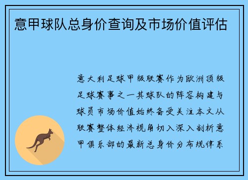 意甲球队总身价查询及市场价值评估